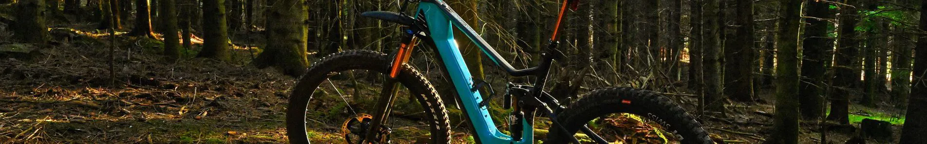 bicicletta elettrica 